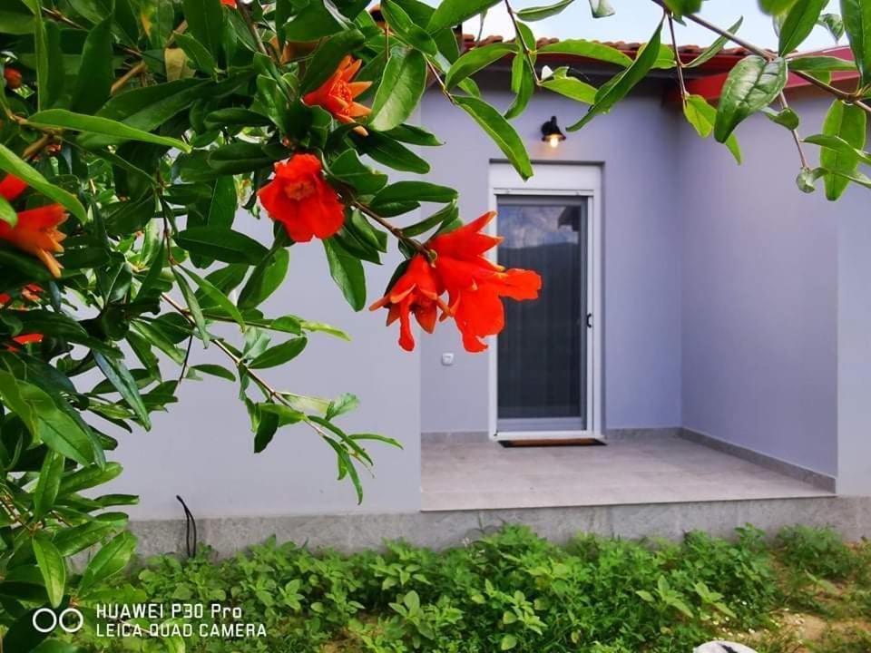 Appartement Ktima Mimoza à Sykia Chalkidikis Extérieur photo