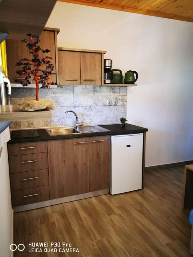Appartement Ktima Mimoza à Sykia Chalkidikis Extérieur photo